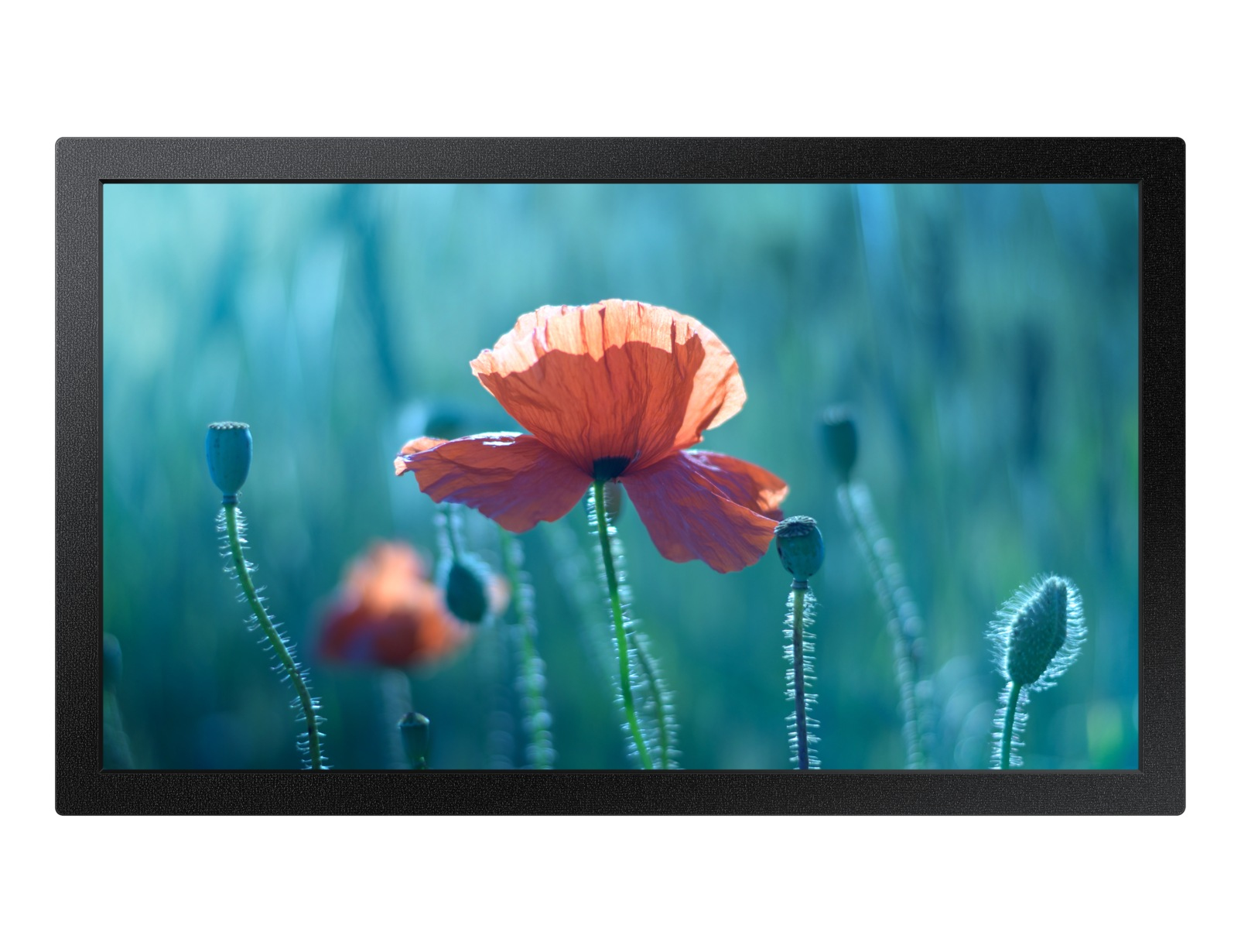 Samsung MON PROFISSIONAL 13QRM STAND ALONE 13IN 500 NIT 16/7